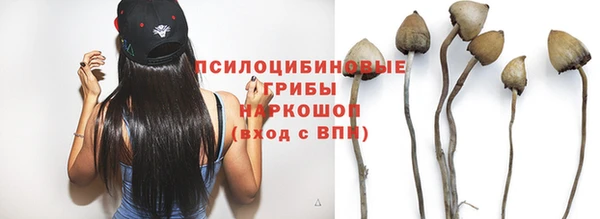 а пвп мука Алексеевка