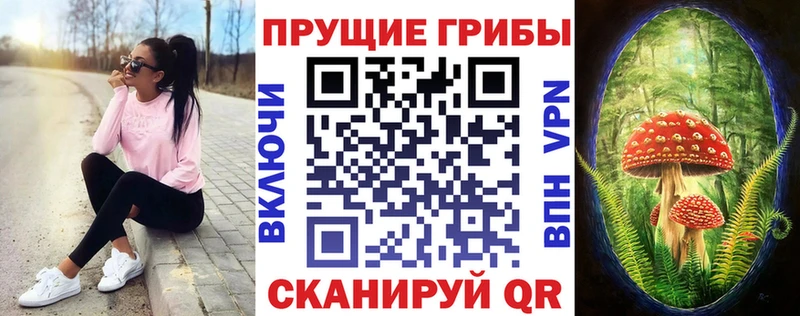 Галлюциногенные грибы Psilocybine cubensis  Болхов 